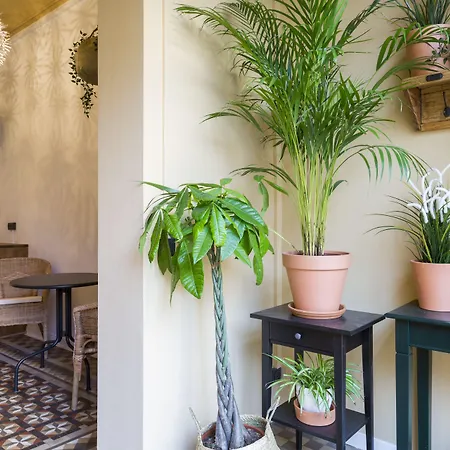 Casa Maca Barcelona (Adults Only)-2